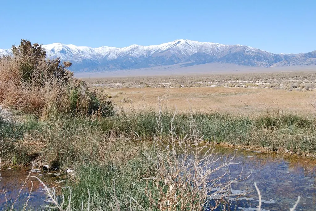 Spring-fed channel in grass with snowy mountains across Big Smoky Valley